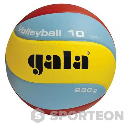 Gala Volleyball 10 BV 5651 S 230g