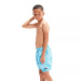 Speedo Printed 15 Watershort Boy Alpine Blue/Pool/White