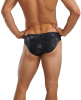 Tyr Ison Brief Titanium 