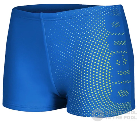 Arena Dim Light Swim Short Boys Blue China/Artic Lime