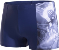 Arena Dreaming Swim Aquashort